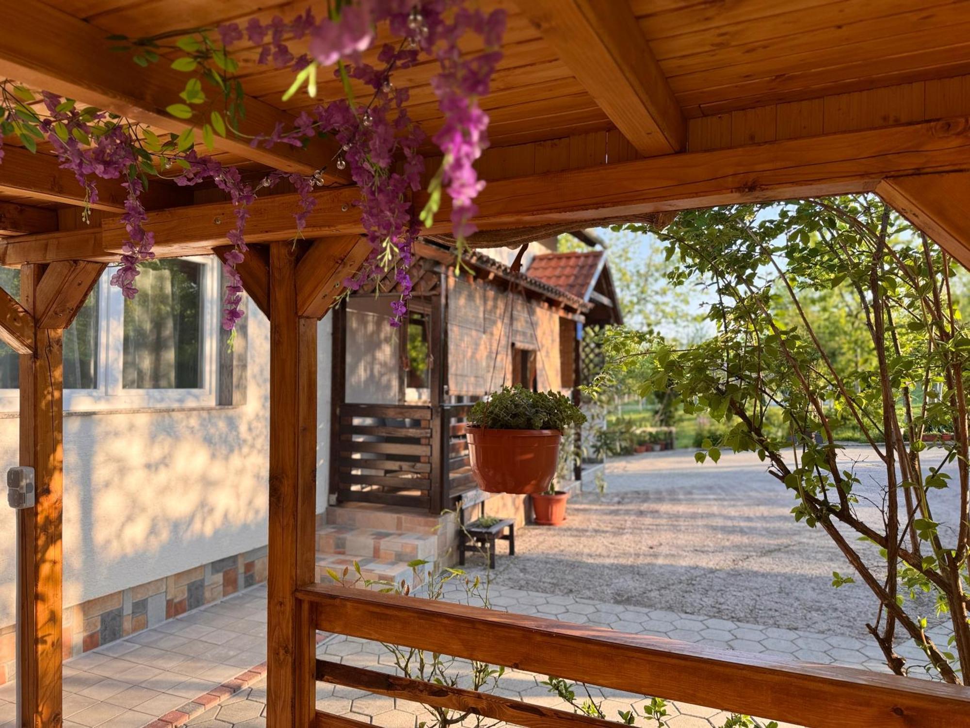 Apartment Liso Селиште-Дрежничко Экстерьер фото