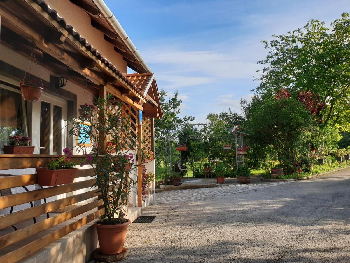 Apartment Liso Селиште-Дрежничко Экстерьер фото